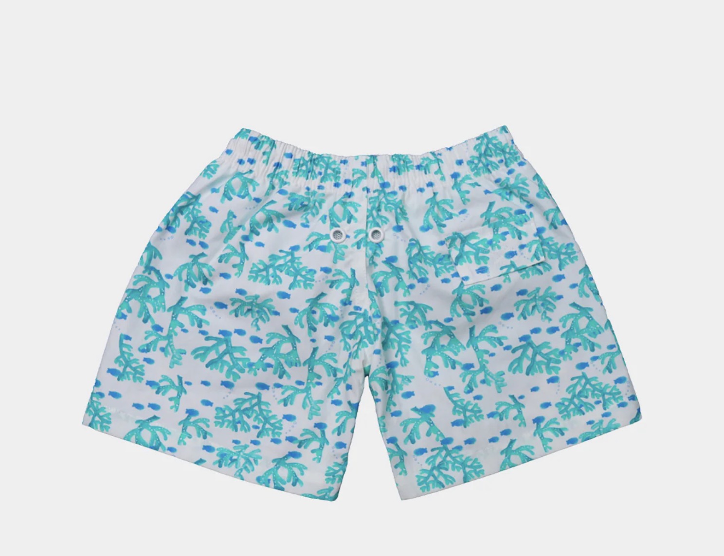 BOXER SURF PAPÁ CORAL